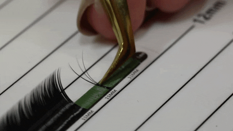 londonlash giphygifmaker fanning london lash GIF