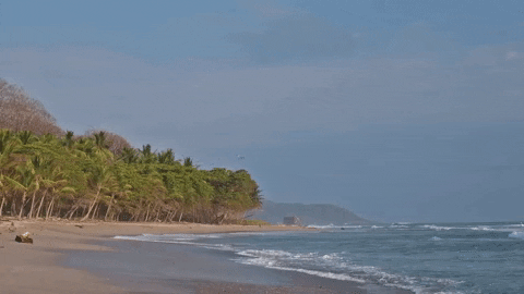 Costa Rica Ocean GIF by Chris