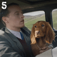 Acgas GIF by Channel5UK