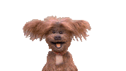 Happy Bbc Sticker by CBeebies HQ