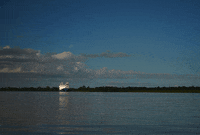 elojodenestor gifart gif photography gifphotography fotografia liquida GIF