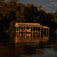 elojodenestor gifart gif photography gifphotography fotografia liquida GIF