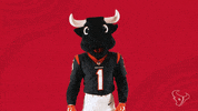 National Football League GIF by Houston Texans