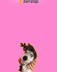 Fun Ok GIF by zenzap