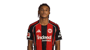 Eintracht Frankfurt Sticker by Bundesliga