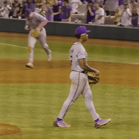College Sports Baseball GIF by LSU Tigers