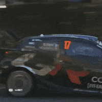 Driving Coming Home GIF by FIA World Rally Championship