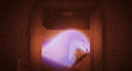 Yeti GIF by YK Animation Studio