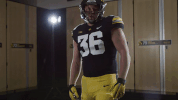 Iowa Hawkeyes Hawkeye GIF by University of Iowa Hawkeyes Athletics