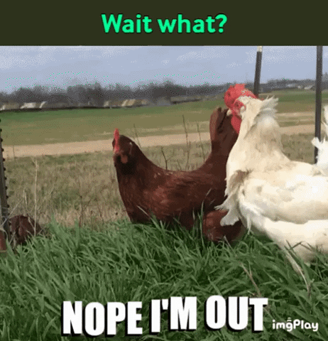 Meri_Maura giphygifmaker GIF