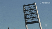 Football Soccer GIF by SV Werder Bremen