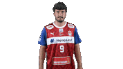 Handball-Bundesliga Sport Sticker by LIQUI MOLY HBL