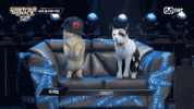 Show Me The Snack GIF