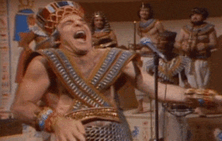 steve martin GIF
