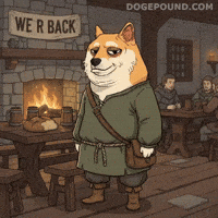 Shiba Inu Smirk GIF by Doge Pound