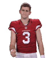 Arizona Cardinals Sticker Sticker by NFL