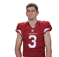 Arizona Cardinals Sticker Sticker by NFL