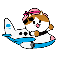 Cat Kitty Sticker by 궁디팡팡 캣페스타