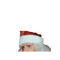Santa Claus Christmas Sticker by Roberto Carlos Oficial
