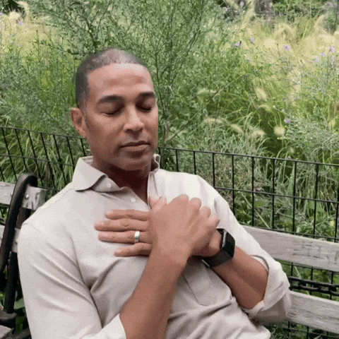 Don Lemon GIF by Respective