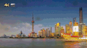 shang hai GIF
