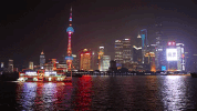 shang hai GIF