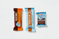 blue_dinosaur rebrand bluedinosaur GIF