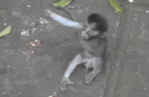 plopppppp  GIF
