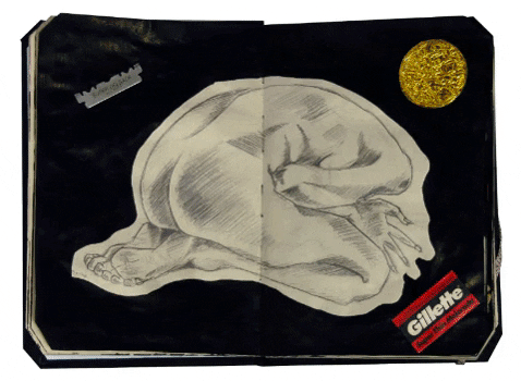 mauriciocruzreyes giphygifmaker arte ecuador collage GIF