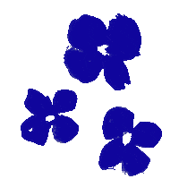 Coterie Diaper Sticker by Coterie