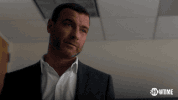 ray donovan drama GIF by Showtime