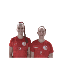 uhcvisperlions lions floorball unihockey wallis Sticker