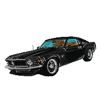 ribafuga car black race fast Sticker
