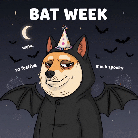 Shiba Inu Wow GIF by Doge Pound