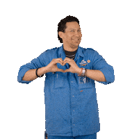 Royal Dutch Airlines Love Sticker by KLM