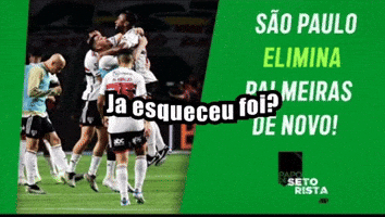 Copa Do Brasil Santos GIF
