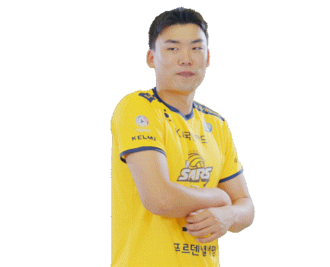 Kb스타즈 Sticker by KB STARS VOLLEYBALL CLUB