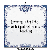 Wijsheid Licht Sticker by Tegelspreuken.nl