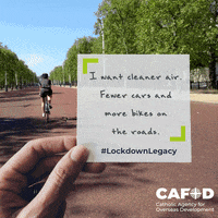 cafoduk  GIF