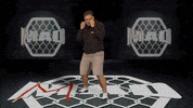 Battersea GIF by MMADen