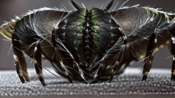 Dream Satisfy GIF by Aleksey Efremov