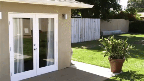 comedy central adam demamp GIF by Workaholics