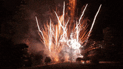 fireworks valencia GIF by For 91 Days