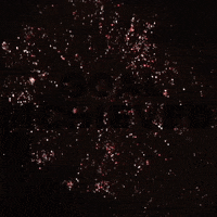 Usnavy GIF by CrplAgency