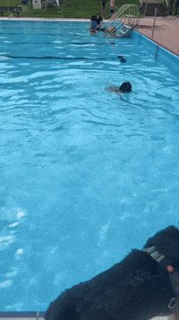Lord Maya GIF