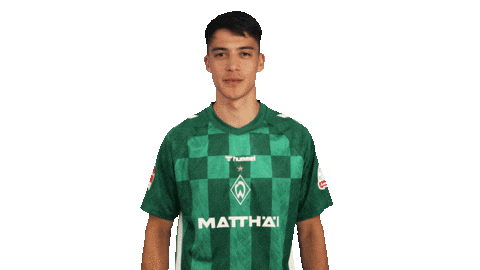 Werder Bremen No Sticker by Bundesliga