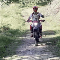 Laviederambo dog moto motocross motorbike GIF