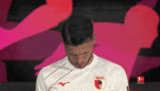 Look Up Fc Augsburg GIF by Bundesliga