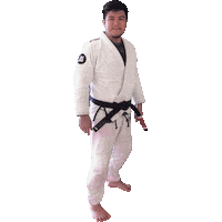 originsmartialarts sports jiujitsu origins grappling Sticker