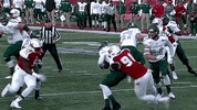 miami university GIF by Miami RedHawks Football